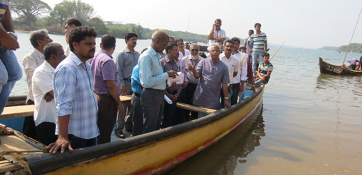 MLA Lobo 1
